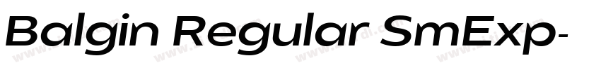 Balgin Regular SmExp字体转换